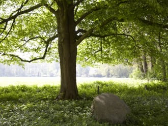 Wandelroute over landgoed de Snippert, tussen Losser en Oldenzaal