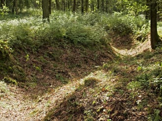 Militaire relicten in het Bergherbos