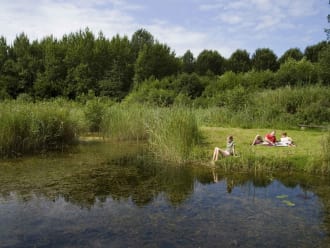 Stienteroute Voorsterbos, bij Kraggenburg