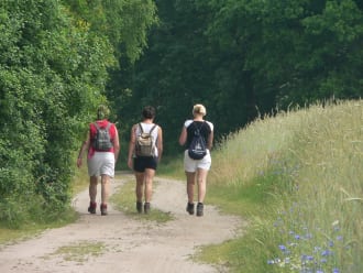 Groene route - Sprengenberg Sallandse Heuvelrug