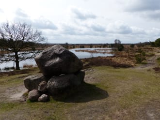 Rondje op de Kampina