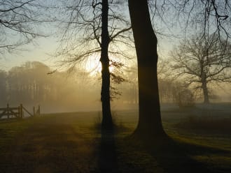 Dauwtrappen met ontbijt op de 's-Gravelandse buitenplaatsen