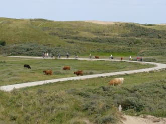 Fietsroute Zuid-Kennemerland