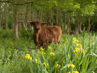 Vijf-sterren-route door de natuur