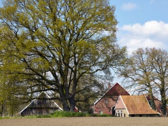 Ondernemer gezocht voor Keunenhuis, Winterswijk