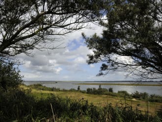 Uitkijkpunt Scheelhoekbos, bij Stellendam