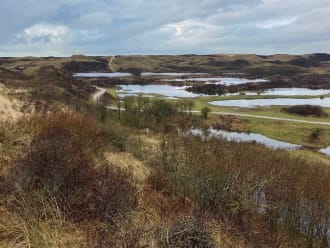 hoog water in Duin en Kruidberg januari 2024