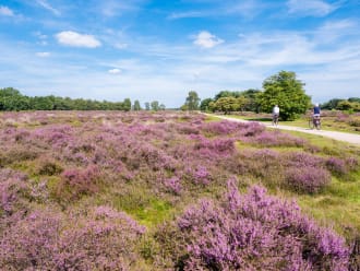 Loonse en Drunense Duinen