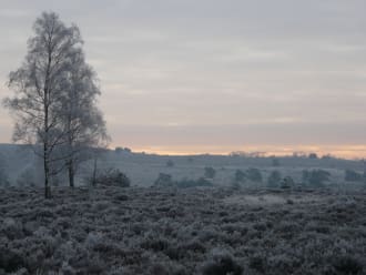 Sprengenberg in de winter