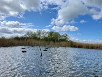 Vlotjes in water