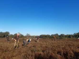 heide schonen Beekvliet Natuurwerkdag 2022