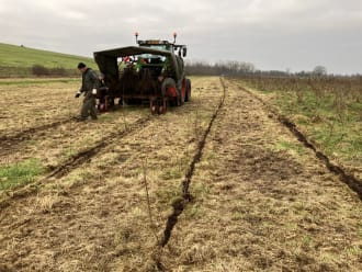 16.000 bomen worden aangeplant op Huis ter Heide