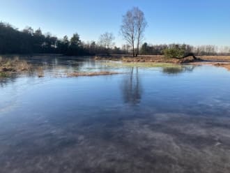 dichtgevroren waterpartij hoogveenkern Witte Veen 