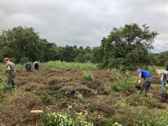 Vrijwilligershogeheide