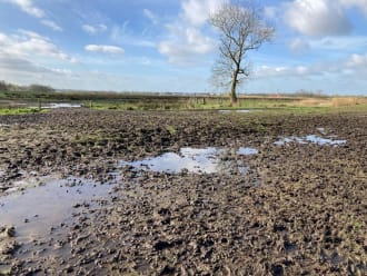 Wandelkade Laarzenpad Naardermeer nog erg nat