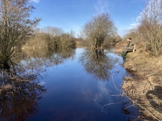 boswachters op bank naast ondergelopen wandelpad Zwanenwater