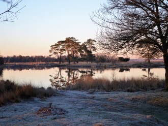 Dwingelderveld