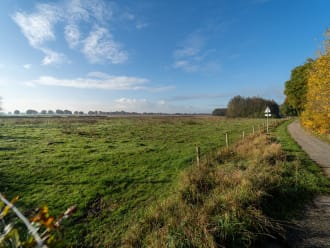 Koningsven - De Diepen  Toon Hermans