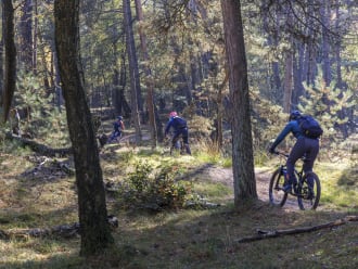 MTB in het bos