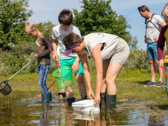 gids en excursiedeelnemers staan met netjes in een plasje te vissen tijdens de kleine beestjesexcursie