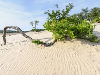 Loonse en drunense duinen