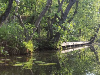 Naardermeer