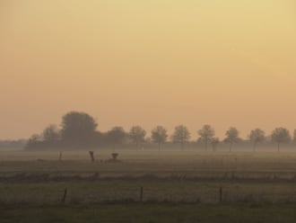 Bloemkampen in de ochtend...