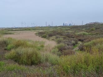 duinvallei Kennemerstrand