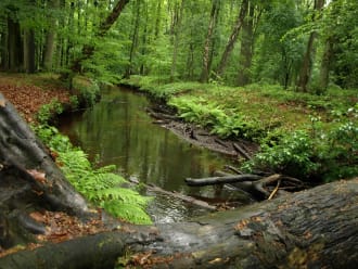 Leuvenumse beek