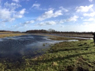 Oostelijke binnenpolder Tienhoven_groot