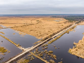 Fochteloërveen natuurherstel - BinnAir