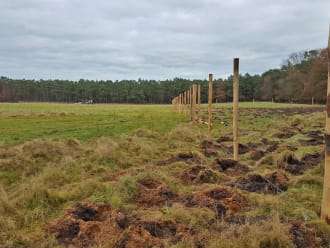 Werken aan nieuwe natuur Reeënberg