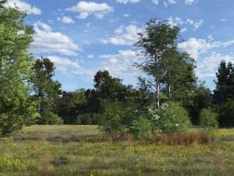 Heischraal grasland in combinatie met natuurbegraven