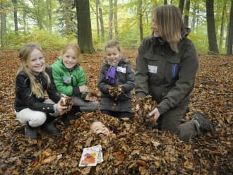 Heerlijk met kinderen het bos in om de natuur te beleven.