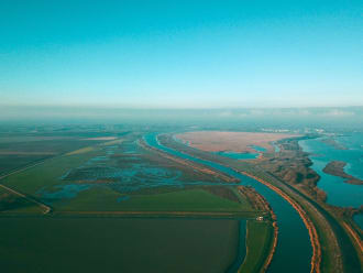 Tiendgorzen. Bron: Jan de Roon, Natuurmonumenten