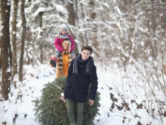 Speciale kerstboom verkoop bij Natuurmonumenten Achterhoek