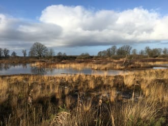 Project Empese en Tondense Heide