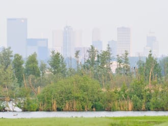 Ackerdijkse Plassen met uizicht op Rotterdam