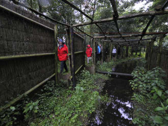 Groepswandeling door eendenkooi Het Aalkeetbuiten