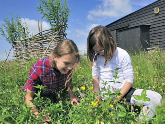 Verken de wilde bloementuin bij Melkschuur Zuidpolder