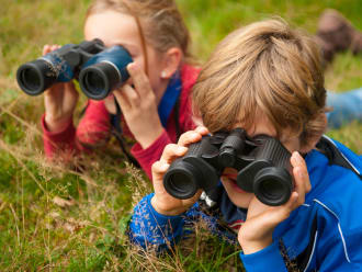 Oerrr speuren naar wild Veluwezoom - Zomer