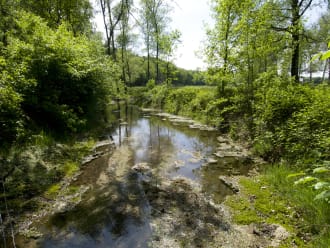 Vrijwilliger natuurbeheer zaterdag Wolfheze