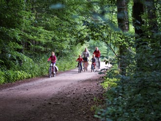 De verrassende Veluwe