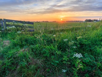 Polder Noord-Kethel