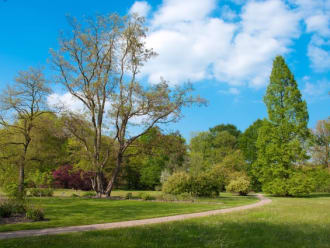 Bomen Arboretum Poort Bulten