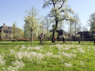 Vrijwilligers gezocht voor mooi werk in moestuin en boomgaard