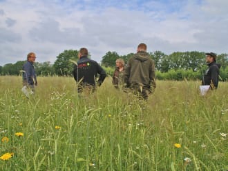 Pleegakkers bedreigde akkerflora IJsselvallei en Planken Wambuis