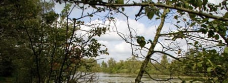 Wandelroute Lusthof De Haeck bij de Nieuwkoopse Plassen