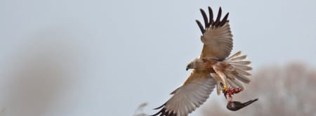 Vroege vogels in de Kwade Hoek