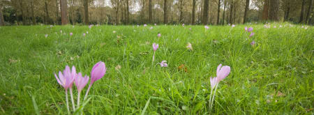 Wandelroute Vloeiweiden, bij Bergeijk